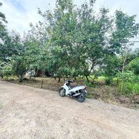 Cần Bán Đất Hẻm / Bình Lộc - Ấp 3, Giá Bán 550 Triệu Vớidiện Tích100M2 Full Tc. Liên Hệ: 0384329615
