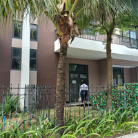 Bán Shophouse 75M2, 3,2 Tỷ Tại Nguyễn Văn Bứa, Xuân Thới Sơn, Hóc Môn, Tp.hcm