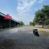 Cho Thuê Kho Bãi + Nhà Xưởng Tại Phước Tân, Tp Biên Hòa - Đồng Nai