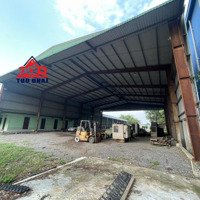 Cho Thuê Kho Bãi + Nhà Xưởng Tại Phước Tân, Tp Biên Hòa - Đồng Nai
