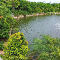 Bán Biệt Thự Tại Kđt Từ Sơn Garden City, 51 Triệu / M2, 400 M2, Lô Góc View Hồ Hàng Hiếm