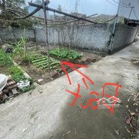 Bán Gấp 50M2 Đất Xã Chỉ Đạo Văn Lâm Hưng Yên, Tài Chính Công Nhân Chỉ Hơn 800 Triệu
