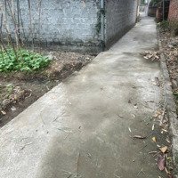 Bán Gấp 50M2 Đất Xã Chỉ Đạo Văn Lâm Hưng Yên, Tài Chính Công Nhân Chỉ Hơn 800 Triệu