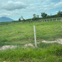 Bán Đất 90000M2, Tại Xã Phước Ninh, Đường Minh Châu, Tây Ninh