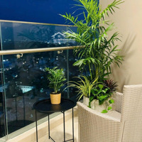 Bán Lỗ Gấp Căn 1 Phòng Ngủ+ Tầng Cao, View Biển, Giá Chỉ 1 Tỷ950, Liên Hệ: 0848 874 168