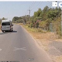 Đất Rẻ Mặt Đường 10 X135 M, Đường Mỹ Xuân - Hắc Dịch