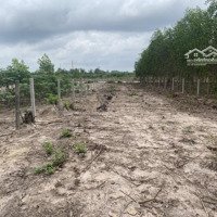 Đất Rẻ Mặt Đường 10 X135 M, Đường Mỹ Xuân - Hắc Dịch