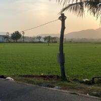 CHỦ GỬI LÔ ĐẤT NGAY THỊ TRẤN PHƯỚC HẢI RẤT ĐẸP DIỆN TÍCH 483 MÉT VUÔNG DIỆN TÍCH NGANG 9 PHÙ HỢP XÂY HOMESTAY