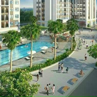 Chính Chủ Cho Thuê Gấp Căn Shophouse Nội Khu Nhìn Ra Hồ Bơi Giai Đoạn 2 Dự Án Ori Garden