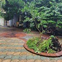Cho Thuê Nr 250M2, 10 Triệu, 2 Phòng Ngủ 2 Vệ Sinhtại Nguyễn Văn Cừ, Gia Thụy, Long Biên, Hà Nội