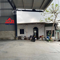 Cho Thuê Nhà Xưởng Để Sản Xuất - Kho Chứa, Lưu Hàng. Tp. Biên Hòa, Kết Cấu Khung Thép Zamil Cao 8M