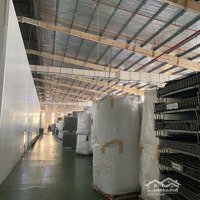 Cho Thuê Nhà Xưởng Làm Chế Xuất Kcn Bắc Ninh
Diện Tíchnhà Xưởng Độc Lập: 6500M2