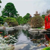 Sở Hữu Ngay Hồ Sen Bao Quanh Dinh Thự Khoáng Nóng Kinh Doanh 4 Mùa Chỉ Từ 20,Xtr/M2 X Mầm Non