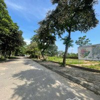 Bán Đất Tái Định Cư Tại Vai Réo, Phú Cát, Quốc Oai, Hà Nội Giá Đầu Tư