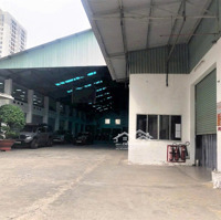 Cho Thuê Kho ~4000M Chứa Được 20 Xe Tải Trần Xuân Soạn Q7 Giá 380 Triệu/Th (Tl)