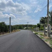 Bán Lô Đất Mặt Tiền Phượng Vỹ Suối Cao Xuân Lộc Đồng Nai