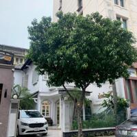 Bán nhà hẻm xe hơi 351 Lê Văn Sỹ, P. 12, Q. 3 trệt 2 lầu ST DT: 8m x 20m CN: 160m2, giá 30.5 tỷ