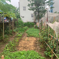 Cực Nóng. Cần Bán Gấp Lô Đất 65M Đông Trù, Sát Vin Cổ Loa, Siêu Dự Án Hót Cầu Tứ Liên, Giá Đầu Tư