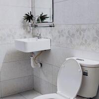 Cho thuê nhà hẻm thông xe hơi đường  Lê Văn Thọ, p9