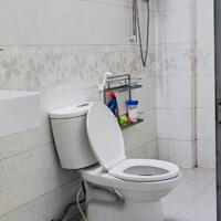 Cho thuê nhà hẻm thông xe hơi đường  Lê Văn Thọ, p9