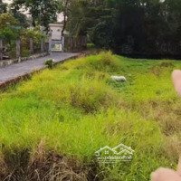 Bán Lô Đất Góc Thổ Cư Bình Chánh Giá Rẻ