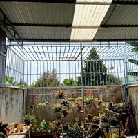 Án Nhà Cấp 4 Mới Cứng Gần Trường Th Bùi Thị Xuân, Hẻm 125 Hà Huy Tập, P. Yên Thế, Pleiku