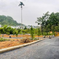 Cơ Hội Sở Hữu Đất Nền Biệt Thự Nghỉ Dưỡng Liền Kề Xanh Villas Đón Đầu Tương Lai