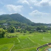 Chính Chủ Cần Bán 1200m Tại Phú Mãn Quốc Oai chỉ 1x Tỷ Sẵn Biệt Thự Sang Sịn