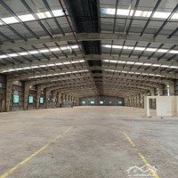 Cho Thuê Kho Xưởng Quốc Lộ 50, Cần Giuộc. Pccc Tự Động, Trạm Hạ Thế