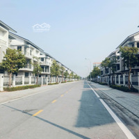 Căn Biệt Thự Siêu Hiếm, Hàng F0 Của Cđt Dự Án Centa Riverside, Lãi Suất 0% 1 Năm , Có Sổ Riêng