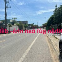Bán Đất Bảo Phác, Hợp Châu, Tam Đảo, Vĩnh Phúc -View Đồng Thoáng Đãng, Mặt Tiền Kinh Doanh Cực Đỉnh