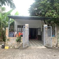 Cho Thuê Nhà Đường Phan Khôi, Hoà Xuân, Đường 7M5,Khu Dân Cư An Ninh, Tiện Ích Đầy Đủ