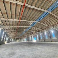 CHO THUÊ XƯỞNG TẠI BÀU BÀNG BÌNH DƯƠNG MỚI 100