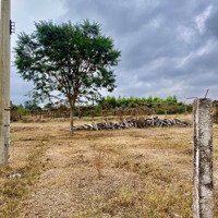 Bán Miếng Đất Vườn Ven Kênh Nước Mát Mẻ Chỉ 500 Triệu Gần Nút Giao Cao Tốc Phan Thiết
