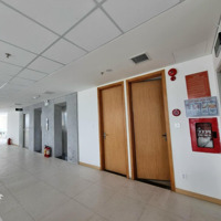 Văn Phòng Sơn Trà, Tòa Nhà Chuyên Nghiệp, Diện Tích Đa Dạng, View Tầm Cao, Gọi Phú Thuê Ngay