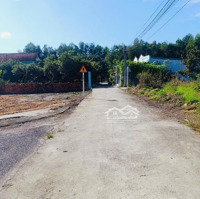 Bán Đất Tặng Nhà Tại Xã Phước An, Nhơn Trạch Có 100M2 Thổ Cư Nhà Cấp 4 Đẹp Mới Ở Ngay