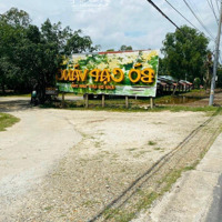 Bán Đất Đẹp Tại Phước Khánh, 1,7 Tỷ, 1150M2, Nhiều Tiện Ích Hạng Hiếm