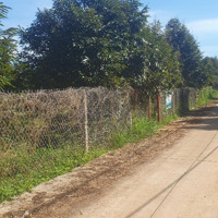 Bán 13000M2 Đất Trồng Sầu Riêng Đang Cho Thu Hoạch Phường Xuân Lập, Tp Long Khánh, Đồng Nai