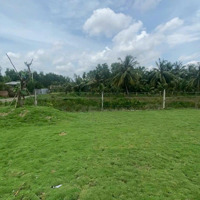 Bán Đất Tại Đường Phước Khánh, Nhơn Trạch, Đồng Nai, 4 Tỷ, 1184 M2, Giá Ưu Đãi