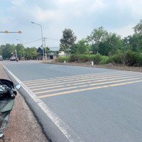 Bán Đất Tại Phạm Thái Bường, Nhơn Trạch, Đồng Nai, Giá Siêu Hời 6,5 Tỷ, 446M2