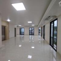Cho thuê biệt thự mới thông sàn thang máy kĐT Trung Văn Vinaconex3. DT 190m x 5t, mt 8m. Giá 70tr