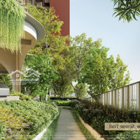 Nhận Booking Orchard Hieghts - Căn Hộ Cao Cấp Đẹp Nhất Dự Án Sycamore- Mua Trực Tiếp Cđt Capitaland