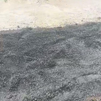 Bán Đất Tân Thạnh Đông 5X30 Tui Thổ Cư Đường Betong Giá Bán 1Tỷ 750 Triệu