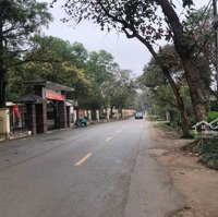 Bán Đất Tdp Tân Phong, Phường Thụy Phương, Quận Bắc Từ Liêmdiện Tích96M2, Liên Hệ: 0986529922