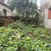 Bán Nhanh 58M2 Đất Giao Tất A, Kim Sơn Giá Nhỉnh 2 Tỷ