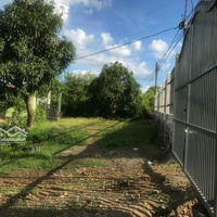 1.5 Hecta Đất Có Thổ Cư Thuộc Ea Nuôl Buôn Đôn Với 35M Mặt Tiền Đường Nhựa - 5.7 Tỷ