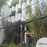Siêu phẩm : Biệt thự siêu đẹp hẻm xe hơi đường Pastuer , P ,Võ Thị Sáu ( 10x13m ) 38 tỷ