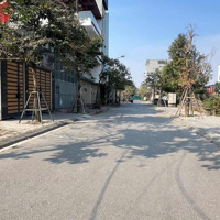 Chính Chủ Bán Nhanh Lô Đất Kđt Nguyên Khê,Diện Tích114M2,Mặt Tiền6M, Kd Sầm Uất, Bán Giá Rẻ Nhất Thị Trường