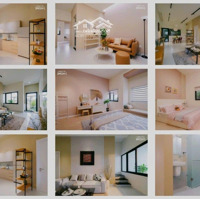 Nhà Phố Mặt Tiền Dt743 Rẻ Nhất Bình Dương