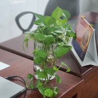 Cho Thuê Văn Phòng Tại 61 Lưu Quang Vũ, Trung Hòa, Cầu Giấy, 4 Triệu/Tháng, 30M2